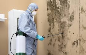 Best Environmental Consulting for Mold Prevention in Cambridge, OH